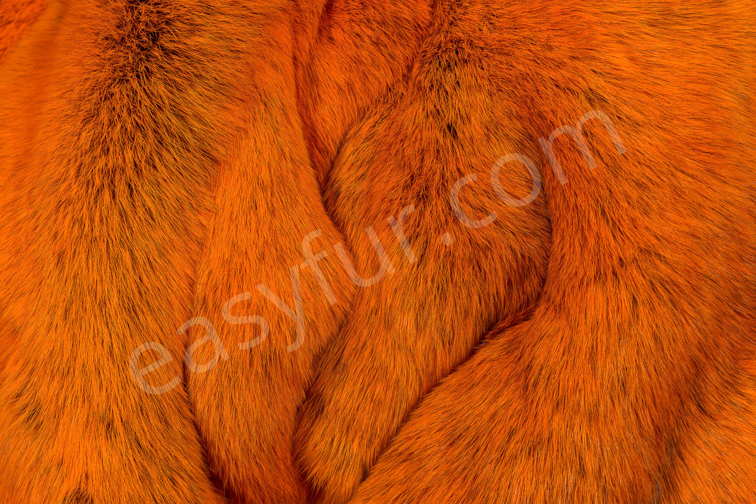 Rabbit Skins - Orange