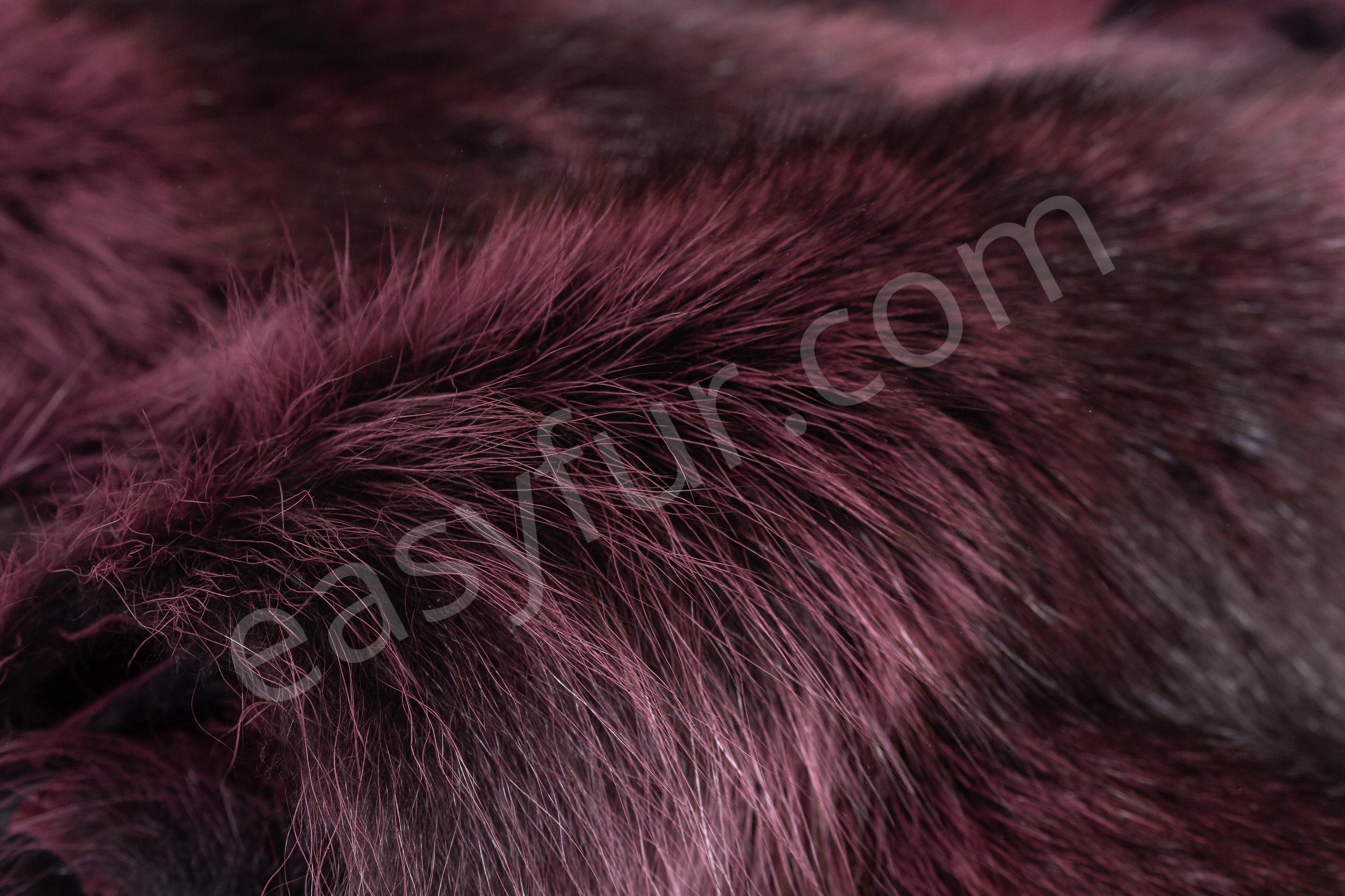 Raccoon Fur Skins in bordeaux