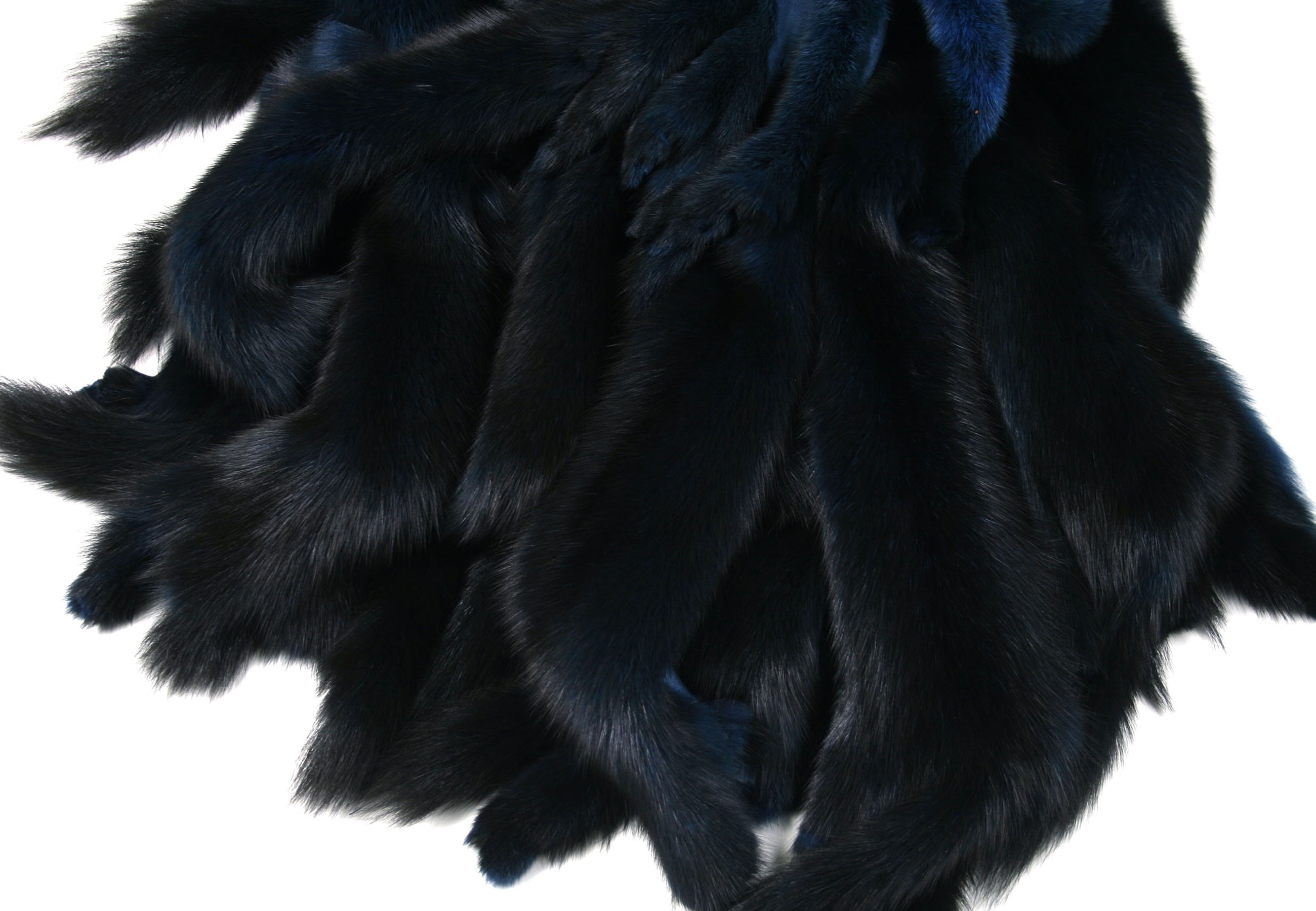 Russian Sable skins in blue from St. Petersburg