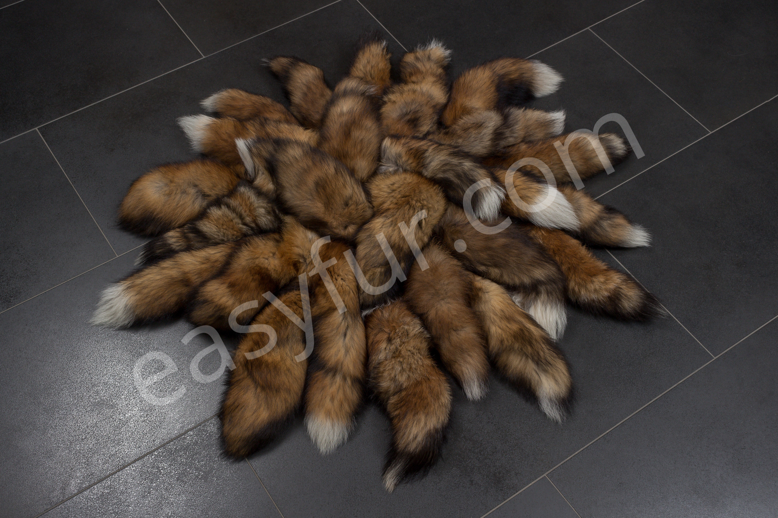 Canadian Red Fox Tails