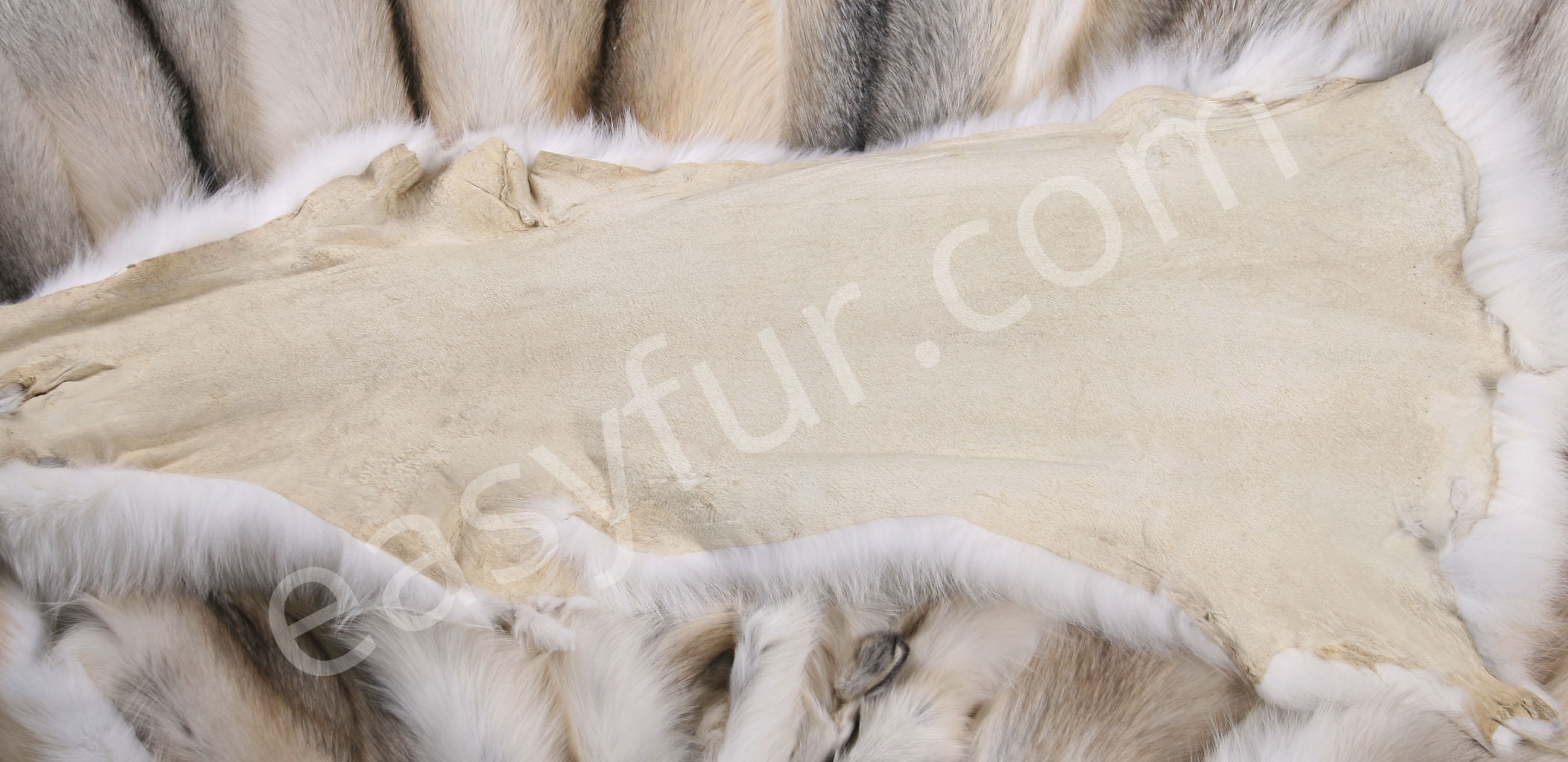 Skandinavien Fawnlight Fox Skins (SAGA Fur)