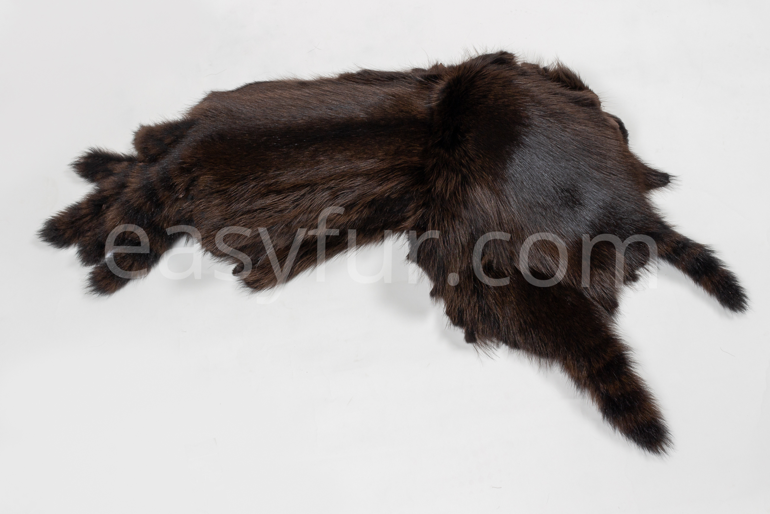 Raccoon Fur Skins in dark brown