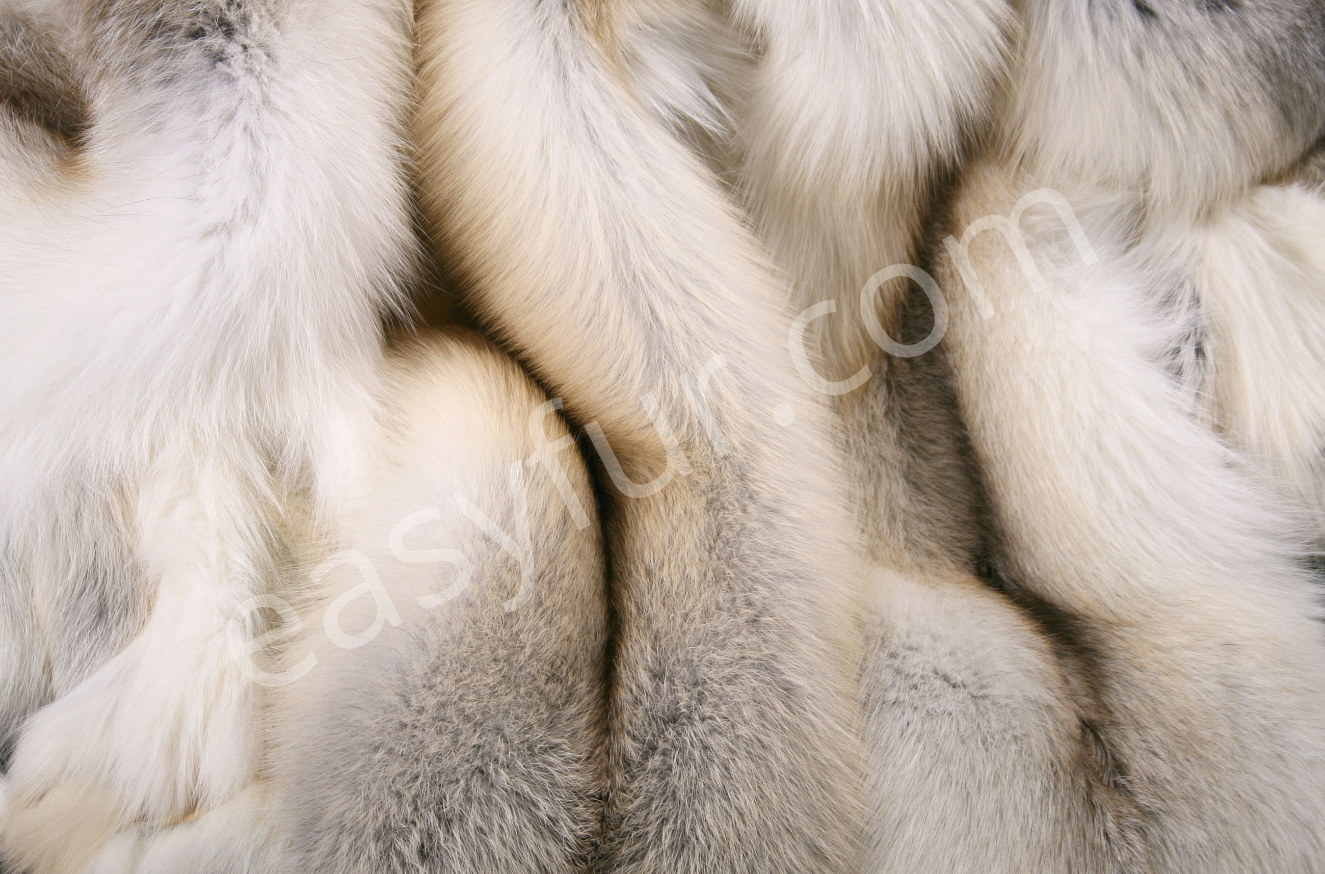 Skandinavien Fawnlight Fox Skins (SAGA Fur)