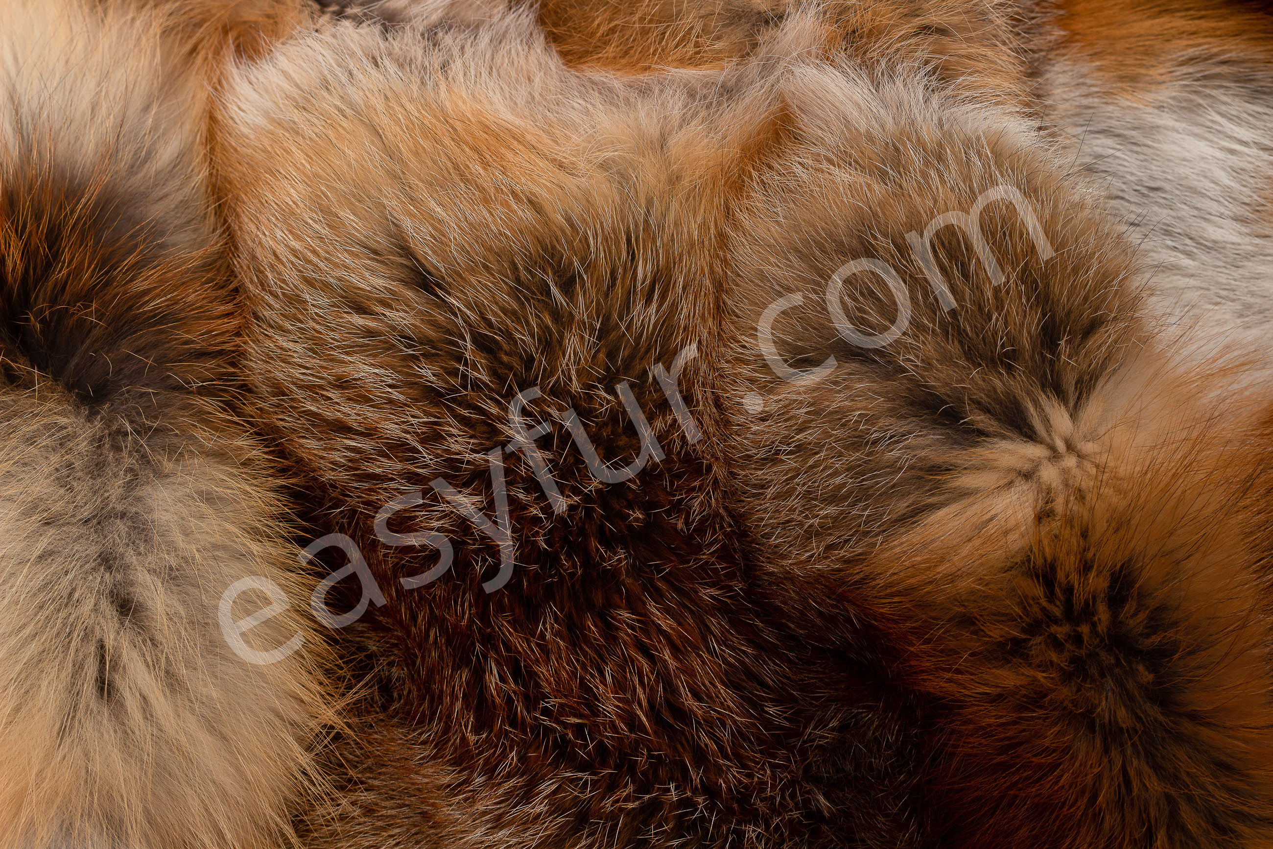 European Red Fox Fur Plates