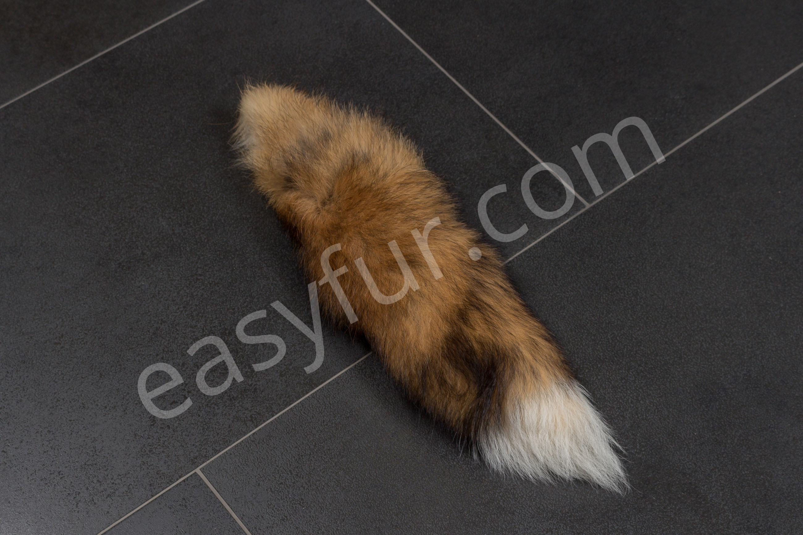 Canadian Red Fox Tails