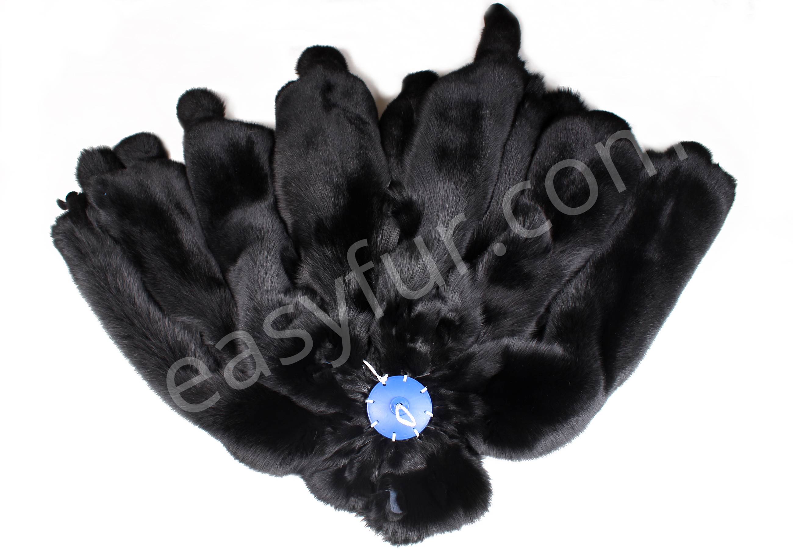 Bluefox Skins in black - SAGA Quality