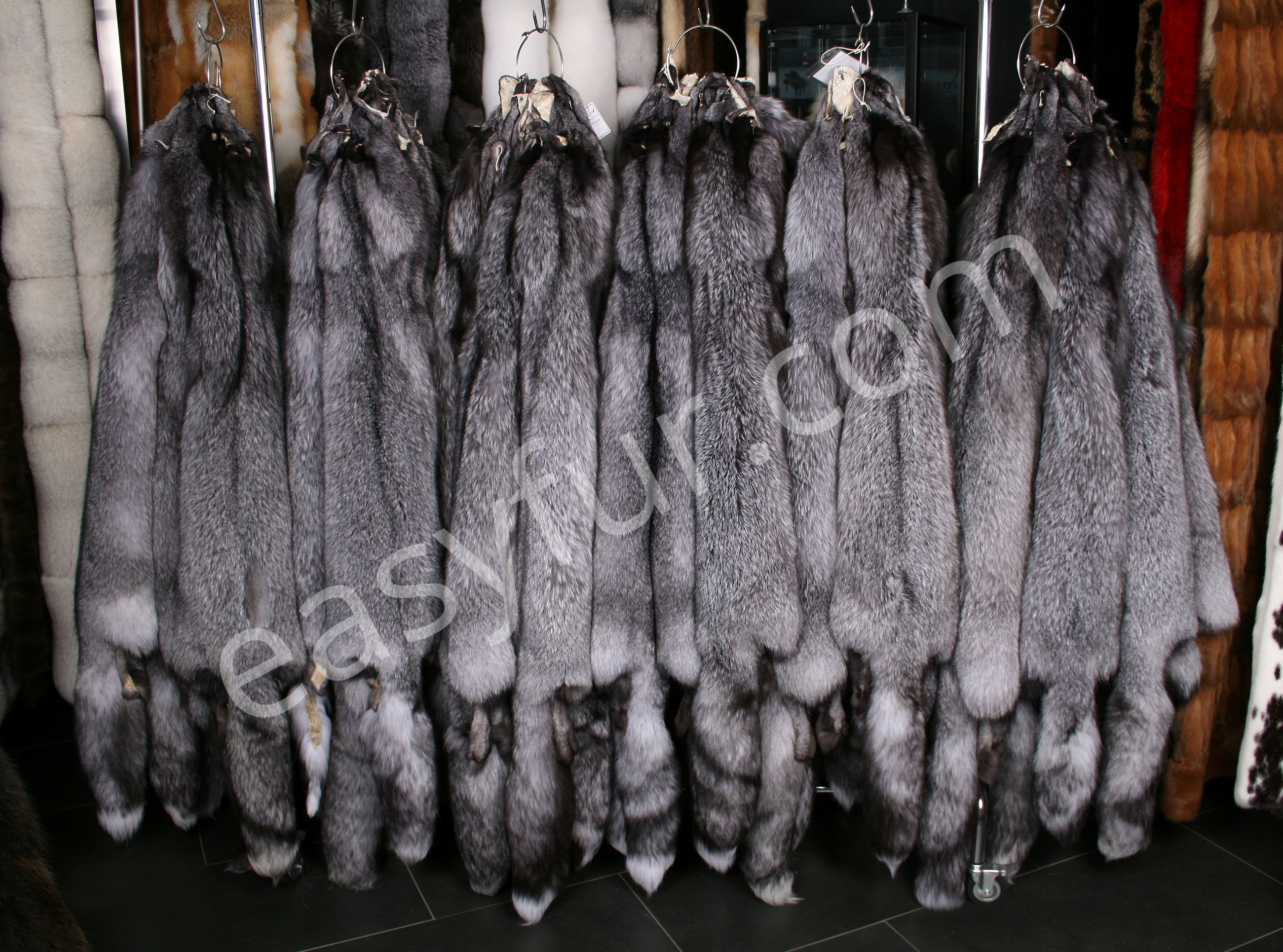 Scandinavian Blue Frost Fox Skins (SAGA Fur)