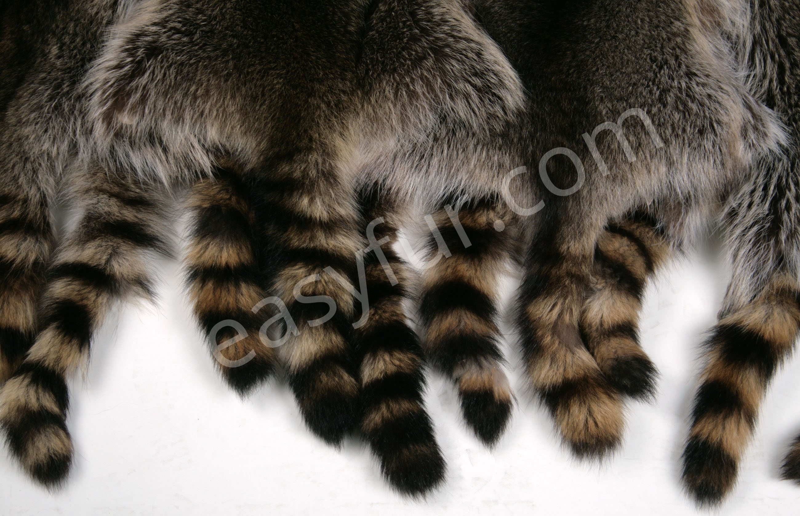 Canadian Raccoon Skins (Fur Harvesters)