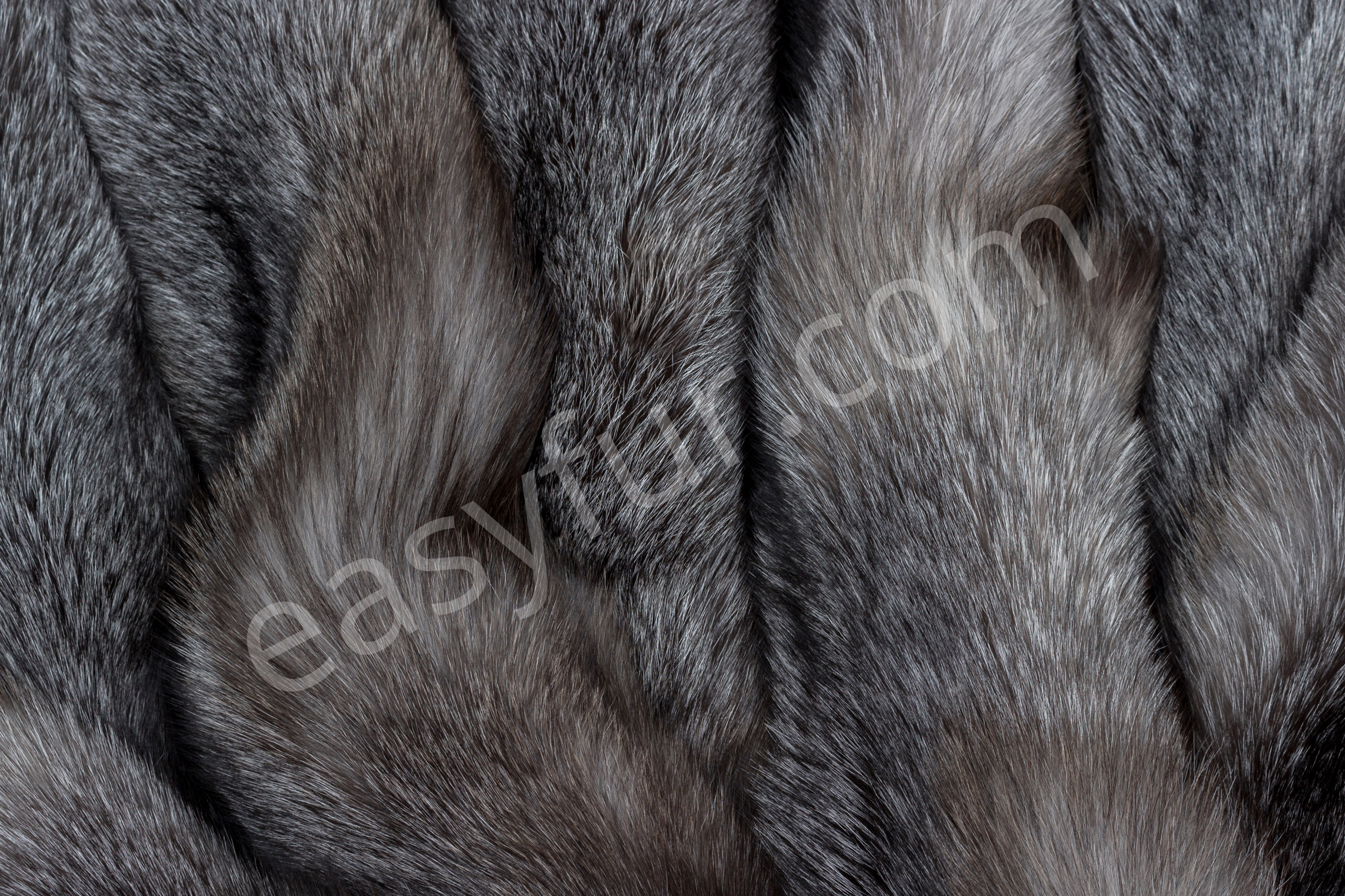 SAGA Blue Frost Fuchs Felle (SAGA Fur)