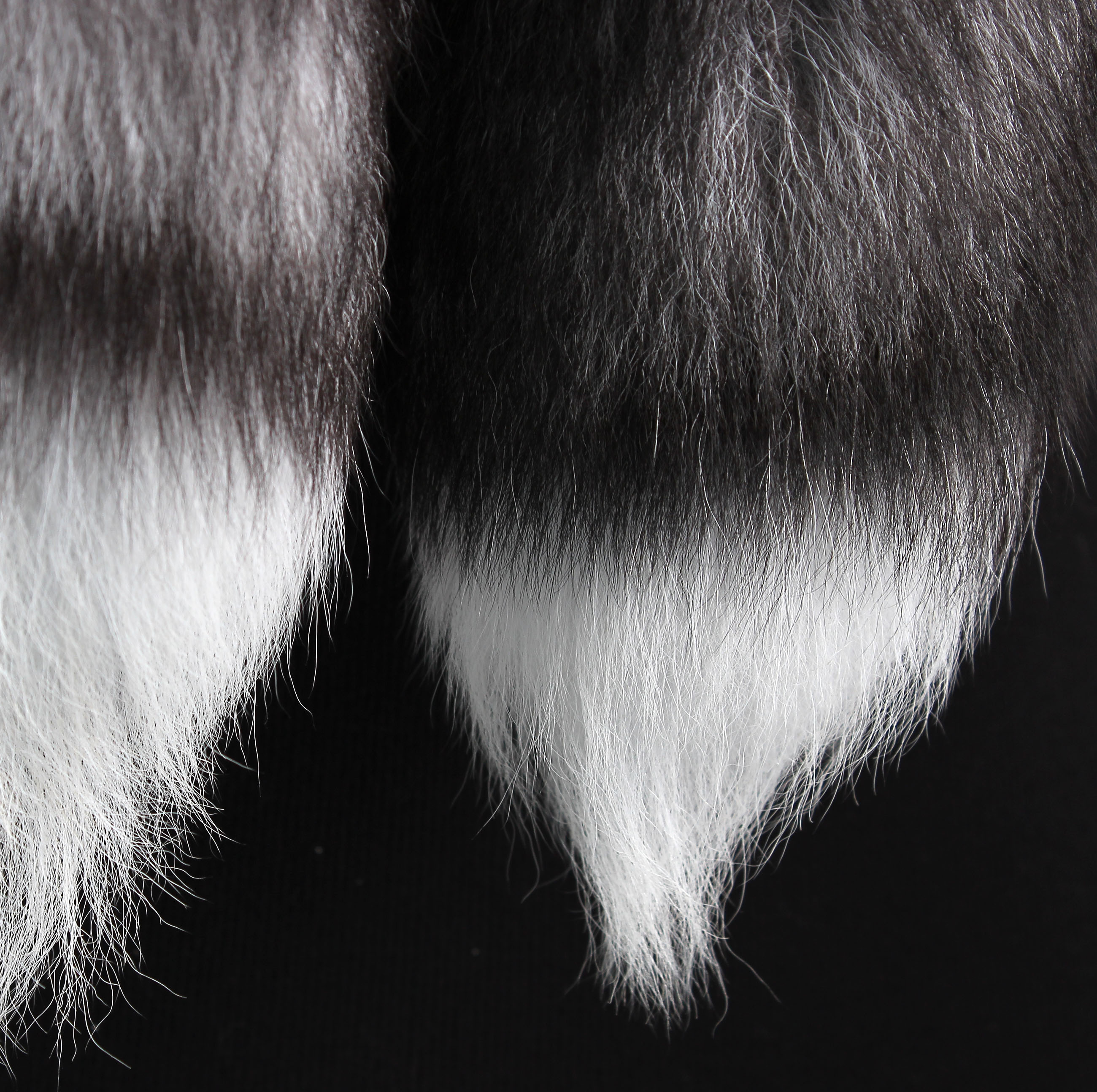 Bluefrost Fox Boa (SAGA Fur)