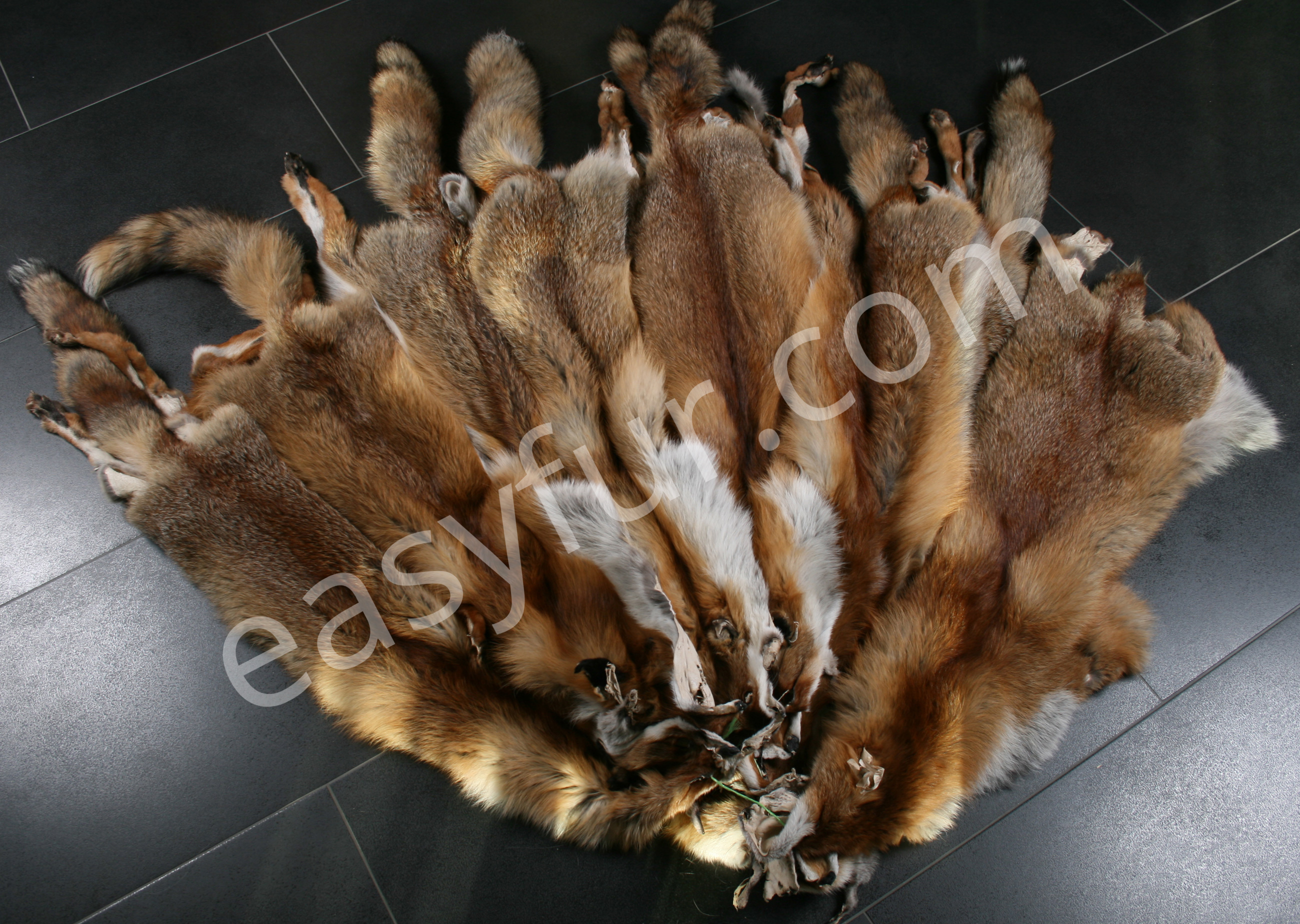 European Red Fox Skins - natural