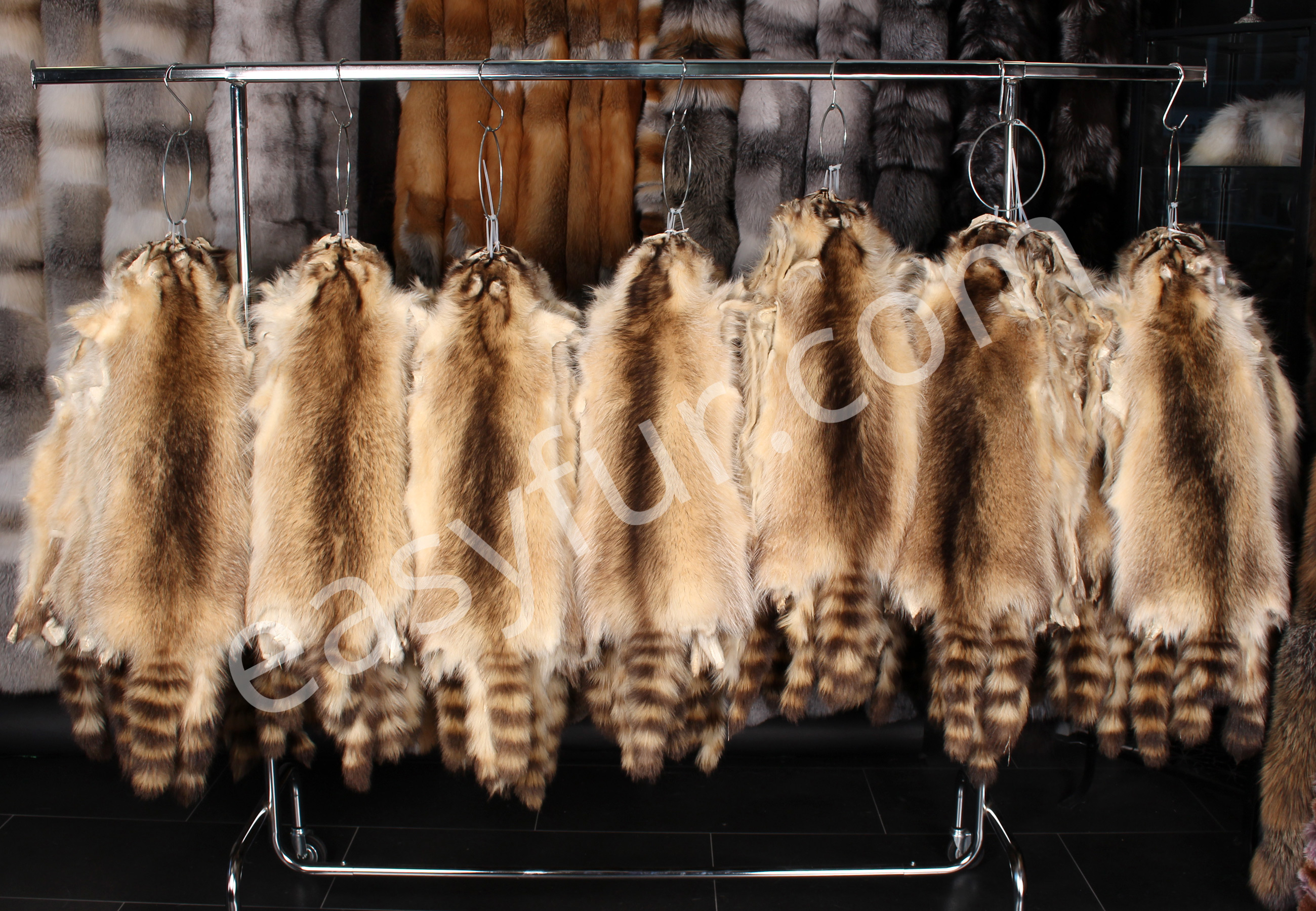 Canadian Raccoon Pelts (Fur Harvesters)