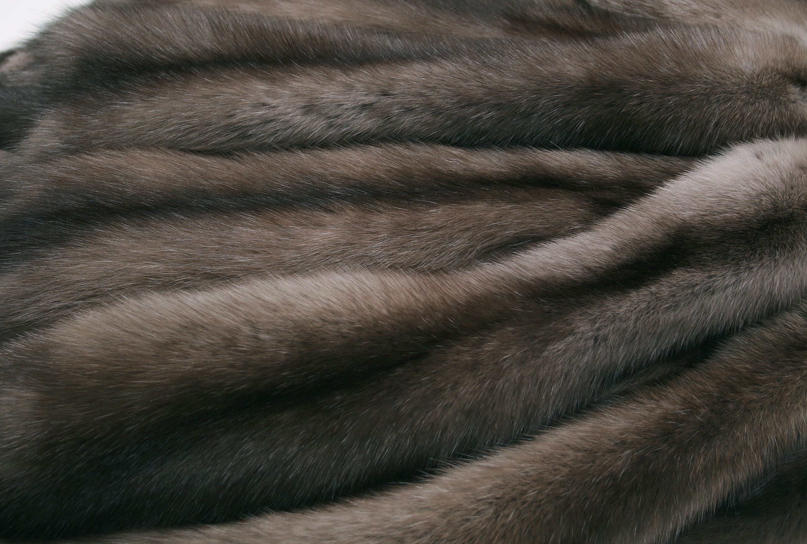 Grey Sable skins from Russia in Tortora grey (Sojuzpushnina)