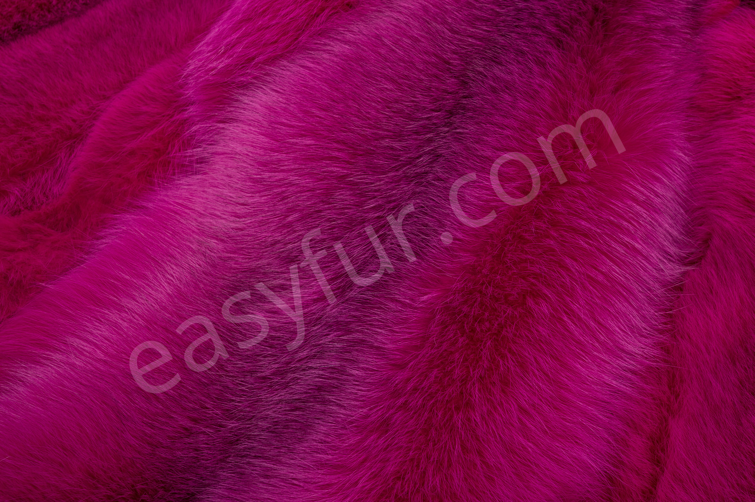 Shadow Blue Frost Fox - Pink