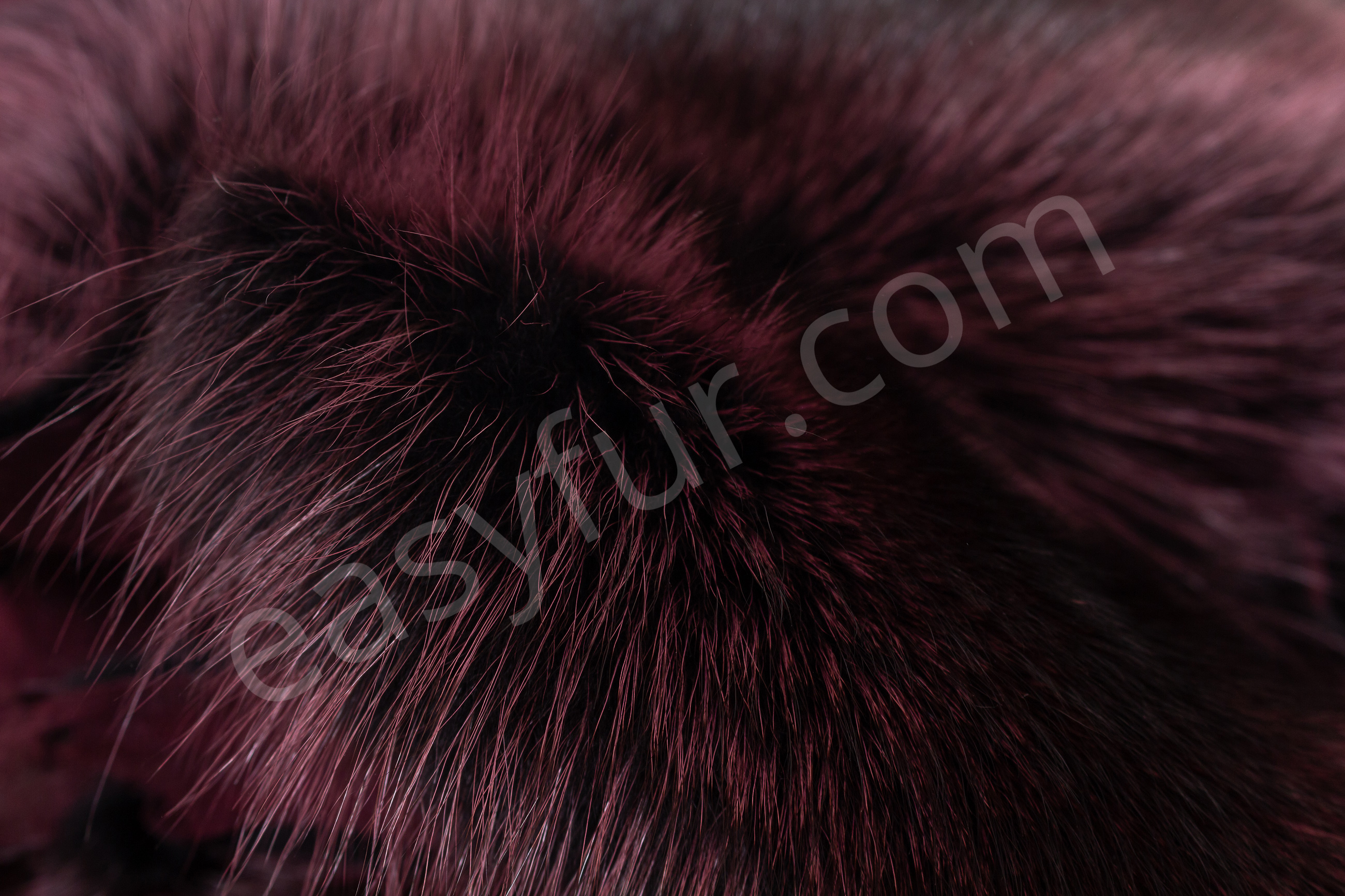 Raccoon Fur Skins in bordeaux