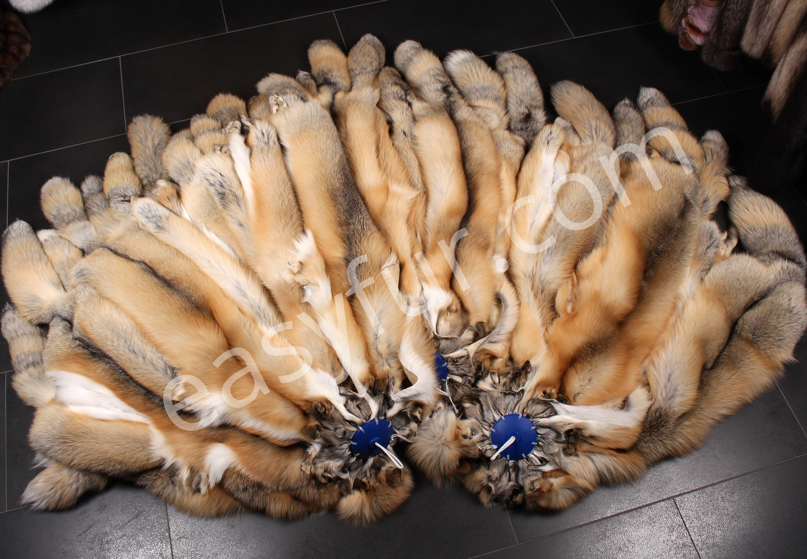 Scandinavien Golden Island Fox Skins (SAGA Fur)