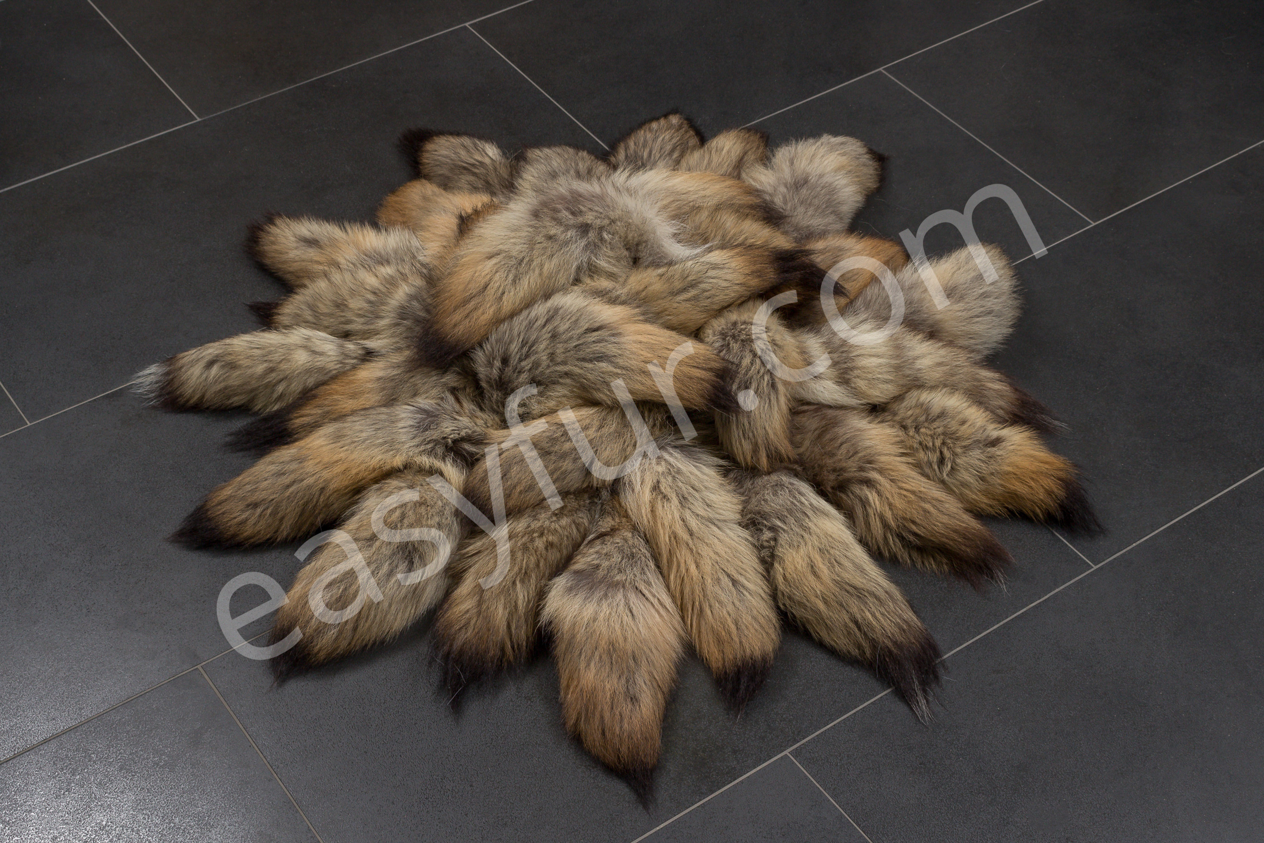 Canadian Coyote Tails