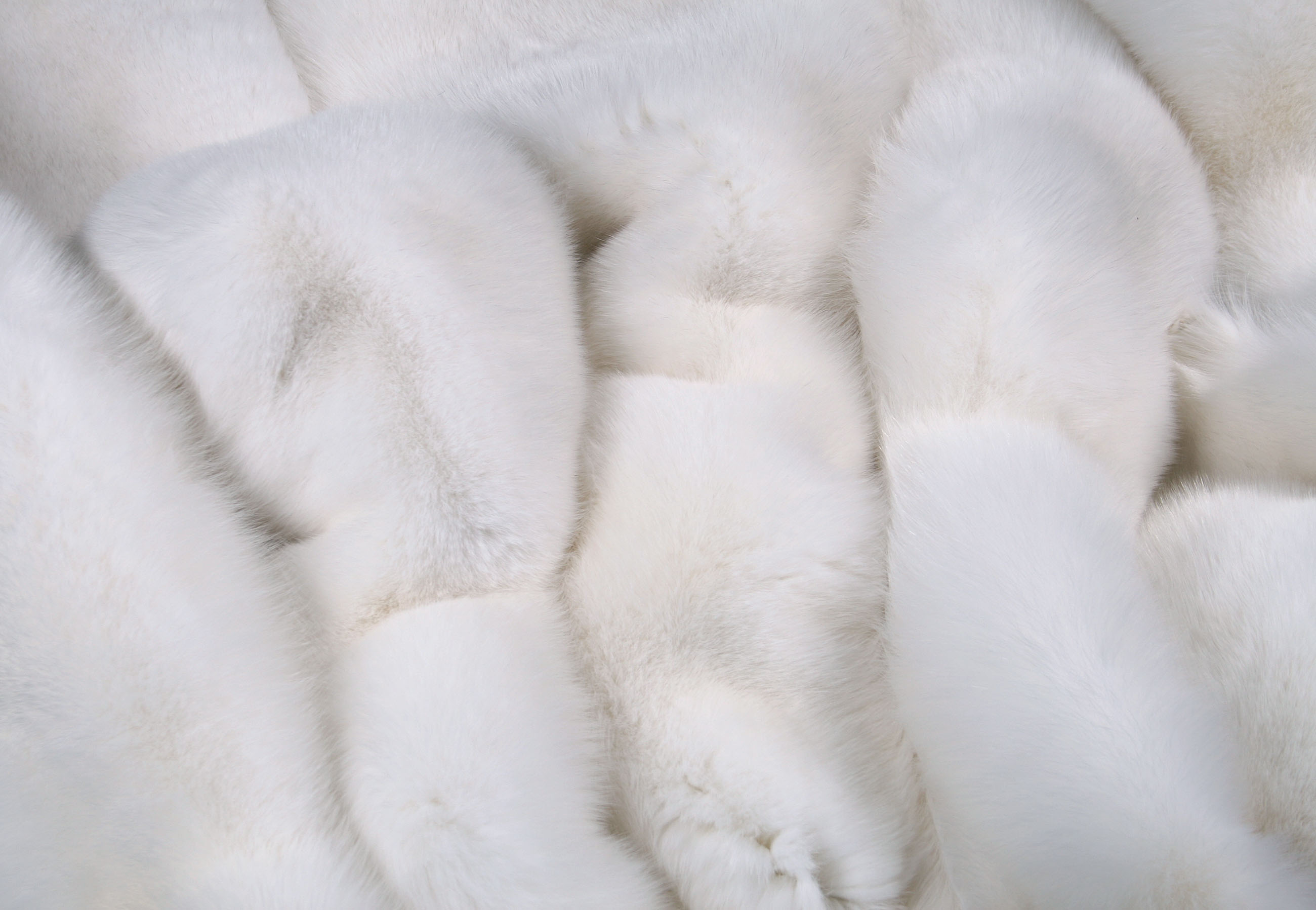 White Shadow Fox Skins (SAGA Fur)