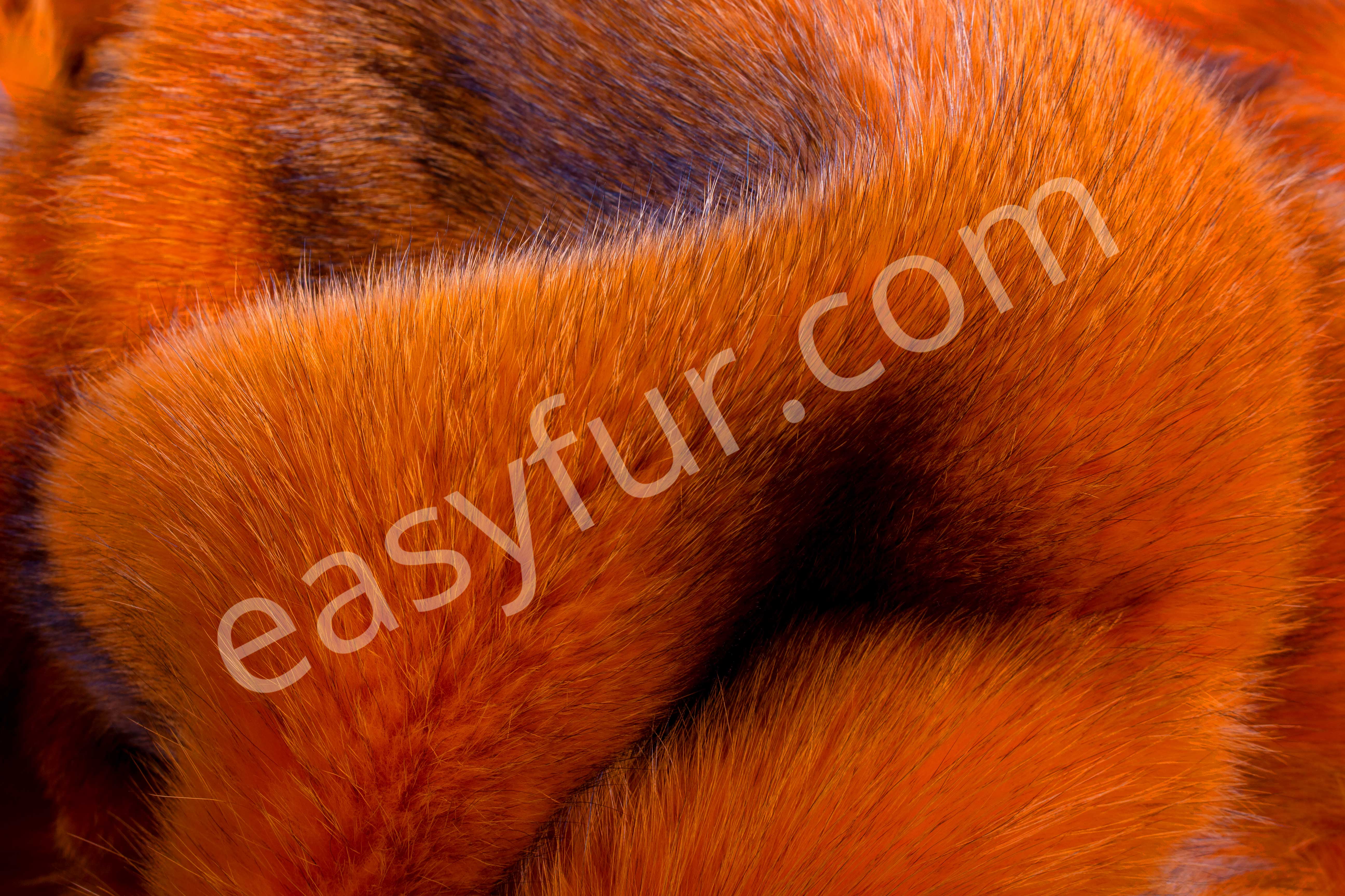 Colored European Red Fox Skins - Orange