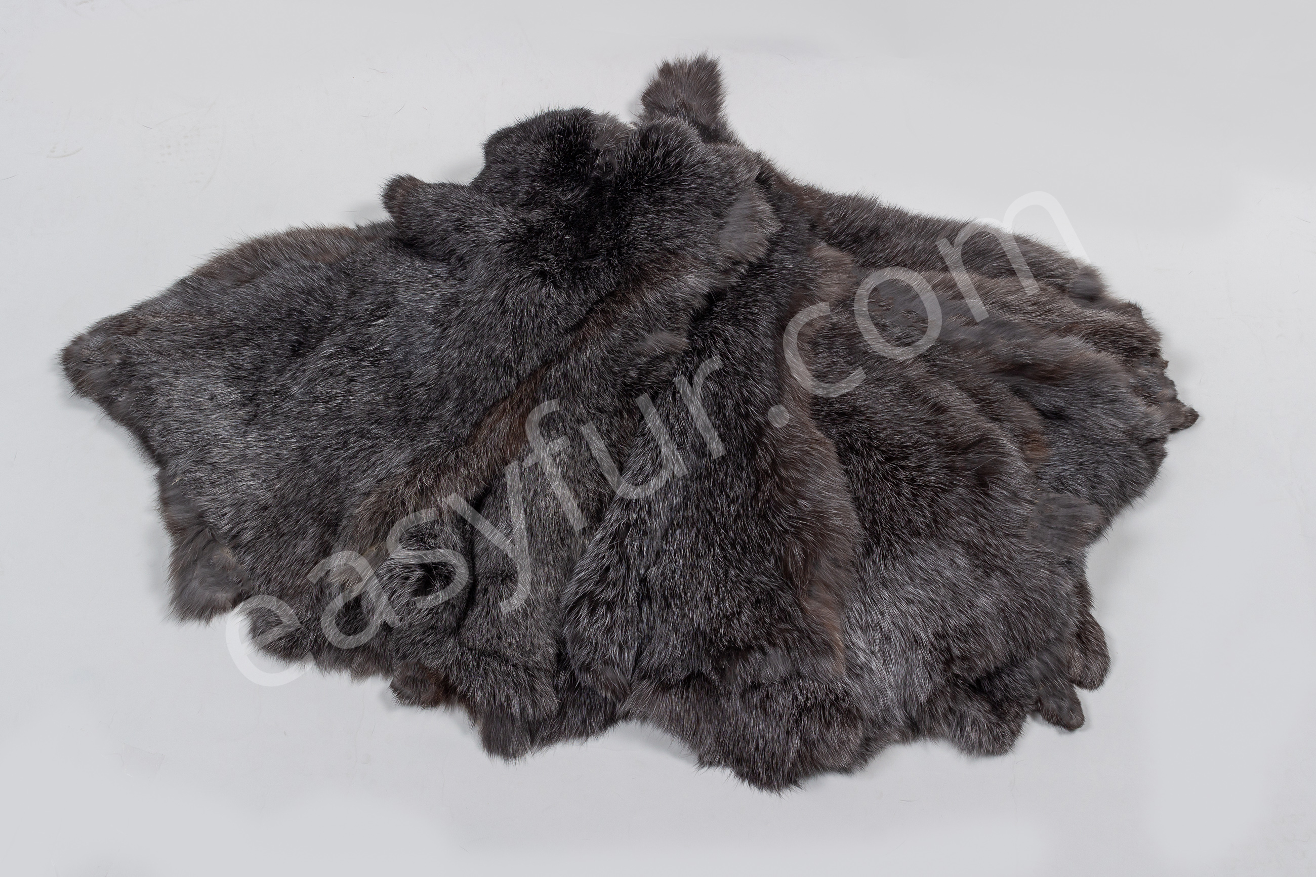 Rabbit Skins in gray with white tips