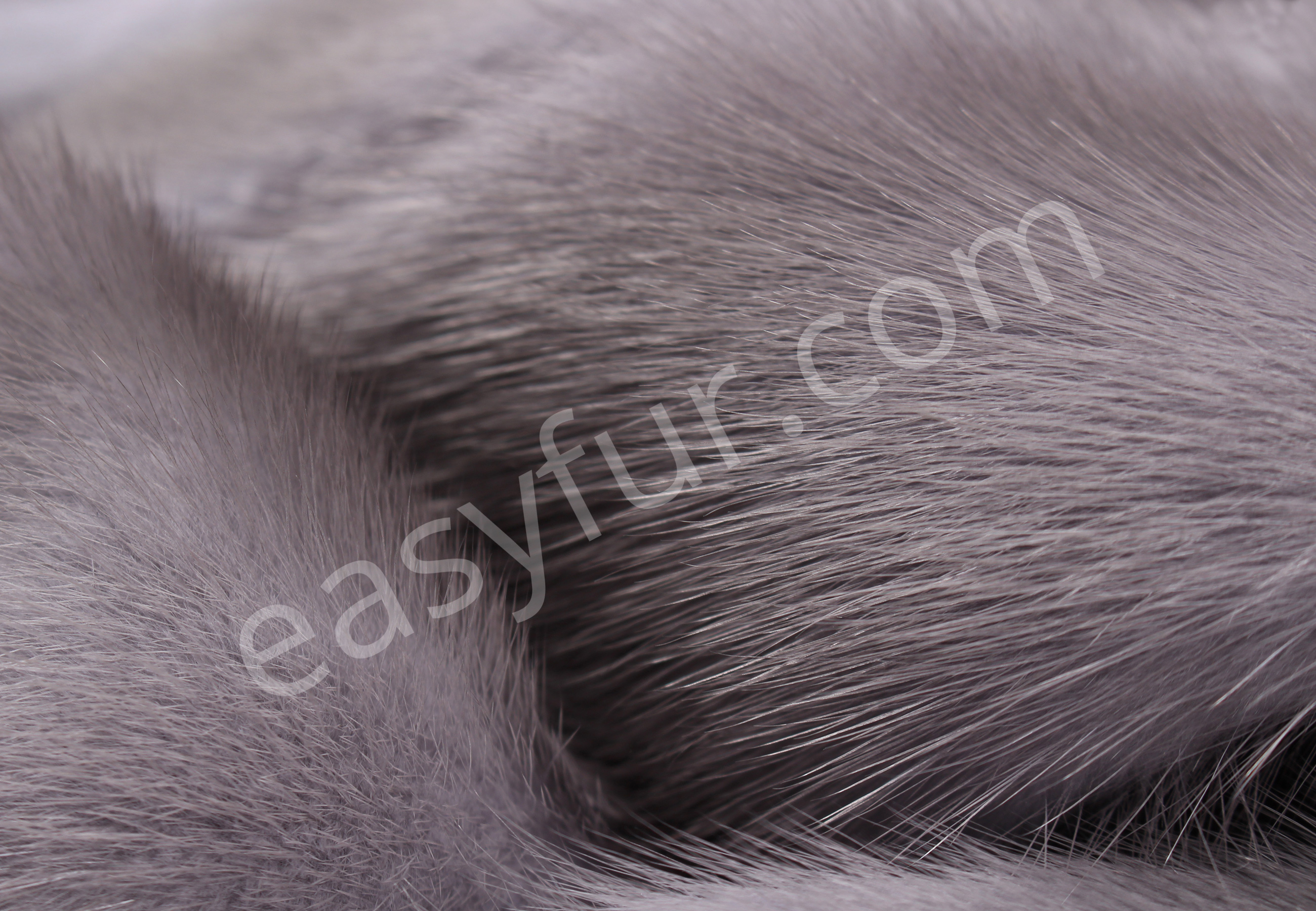 Sapphire Mink Skins - SAGA Fur