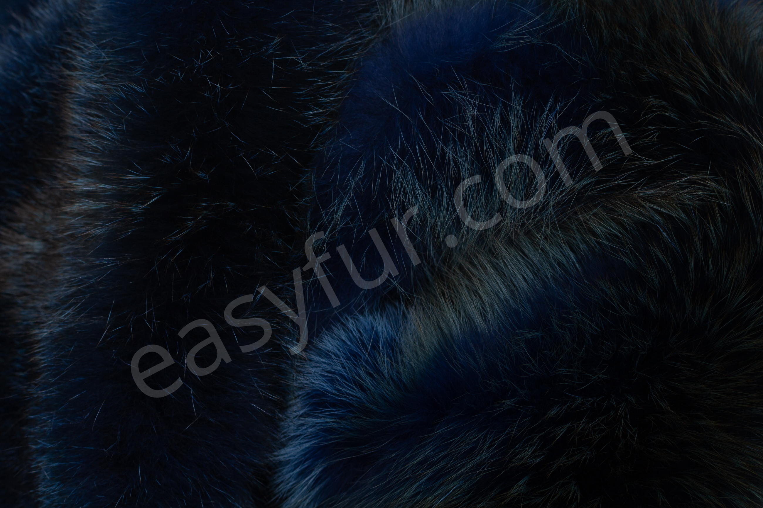 Red Fox Skins in blue