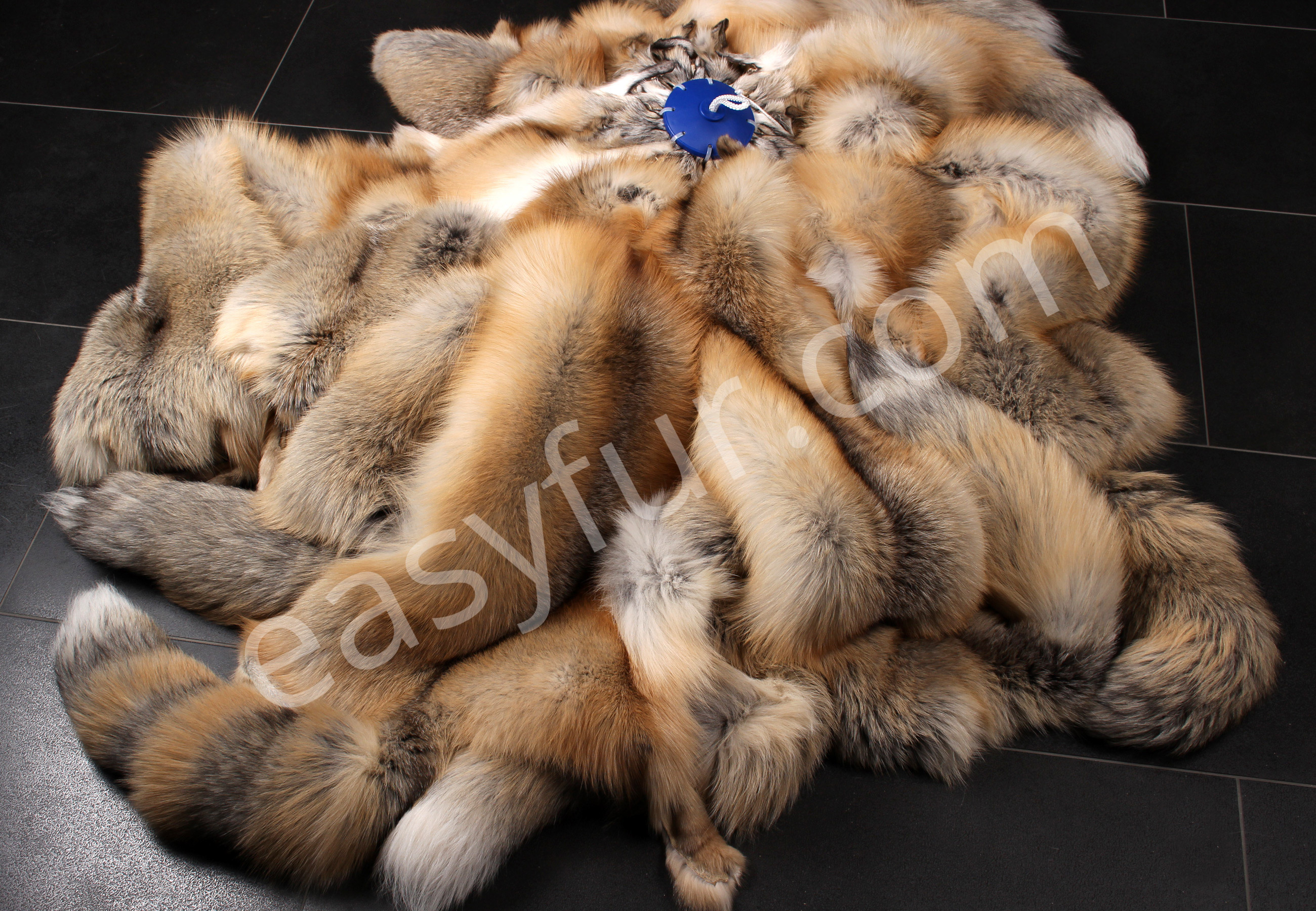 Golden Island Fuchs Felle (SAGA Fur)