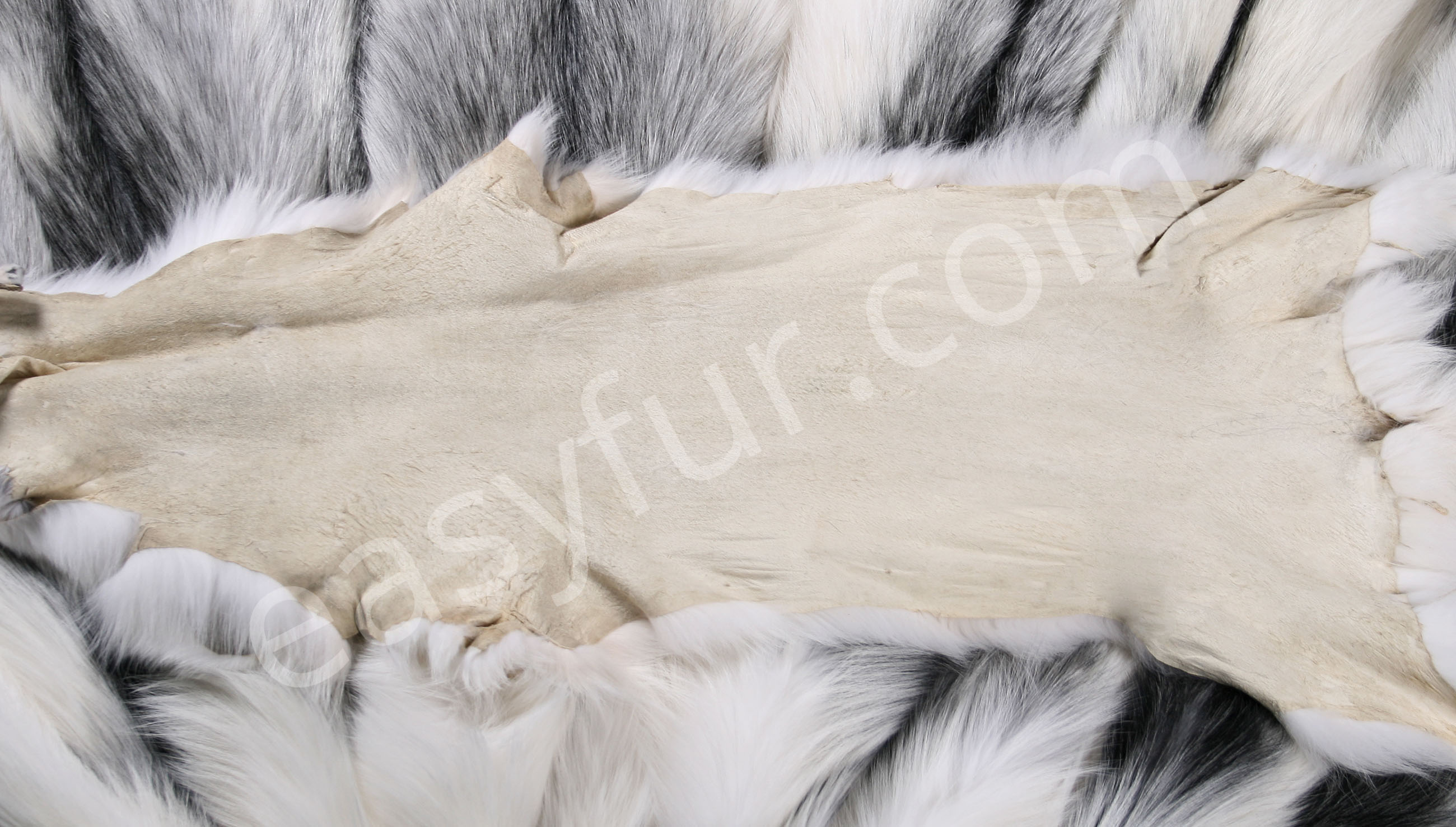 Arctic Marble Fuchsfelle (SAGA Furs)