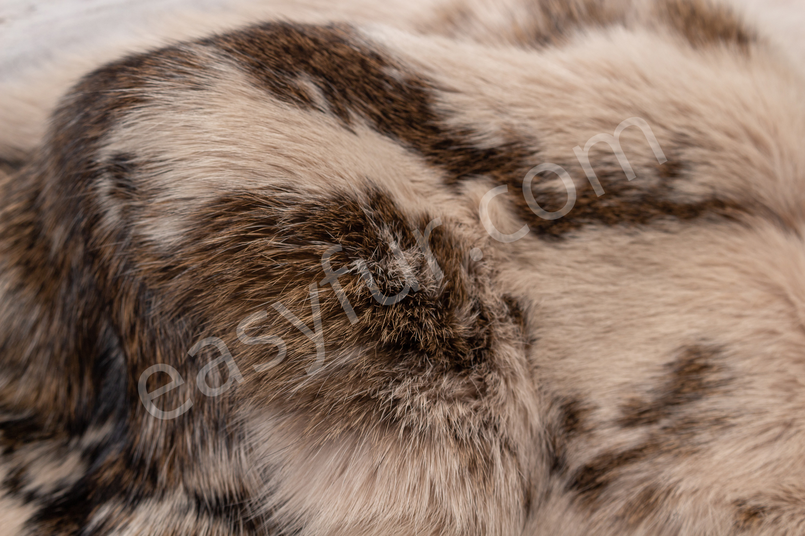 Rabbit Fur Skins in beige with dark flecks