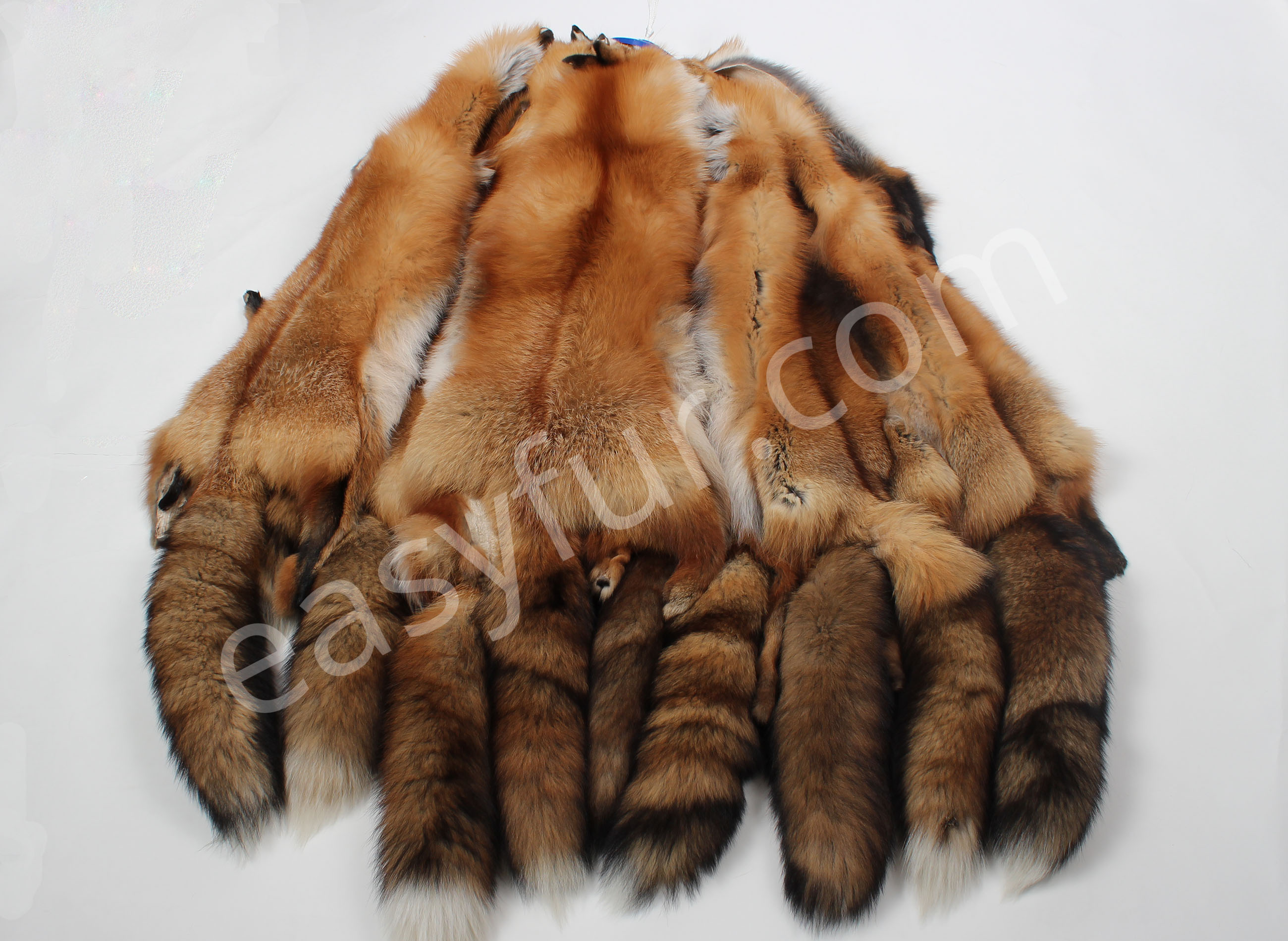 Canadian Red Fox Skins (Fur Harvesters)
