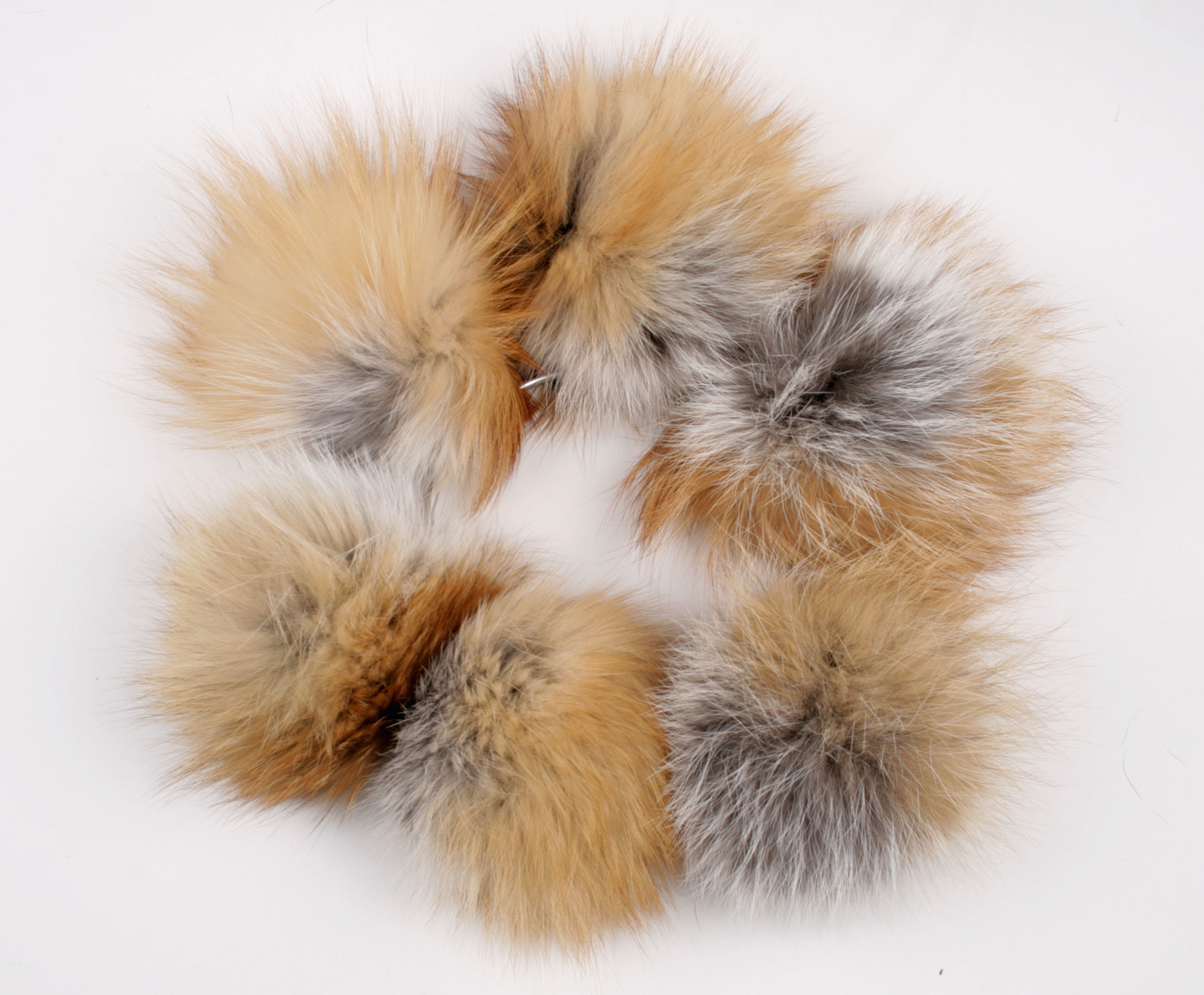 Pelzanhänger aus kanadischem Rotfuchs (Fur Harvester)