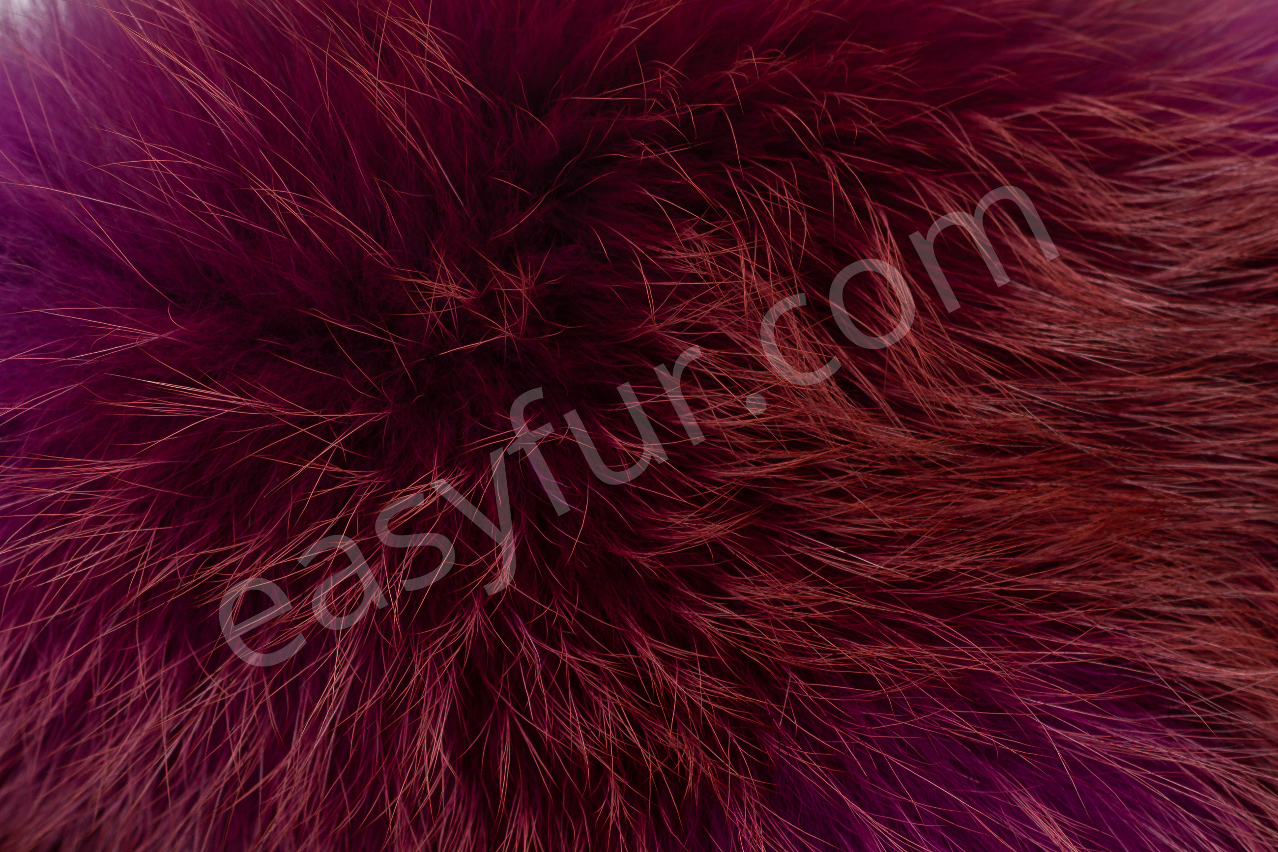Europäische Rotfuchsfelle in lila