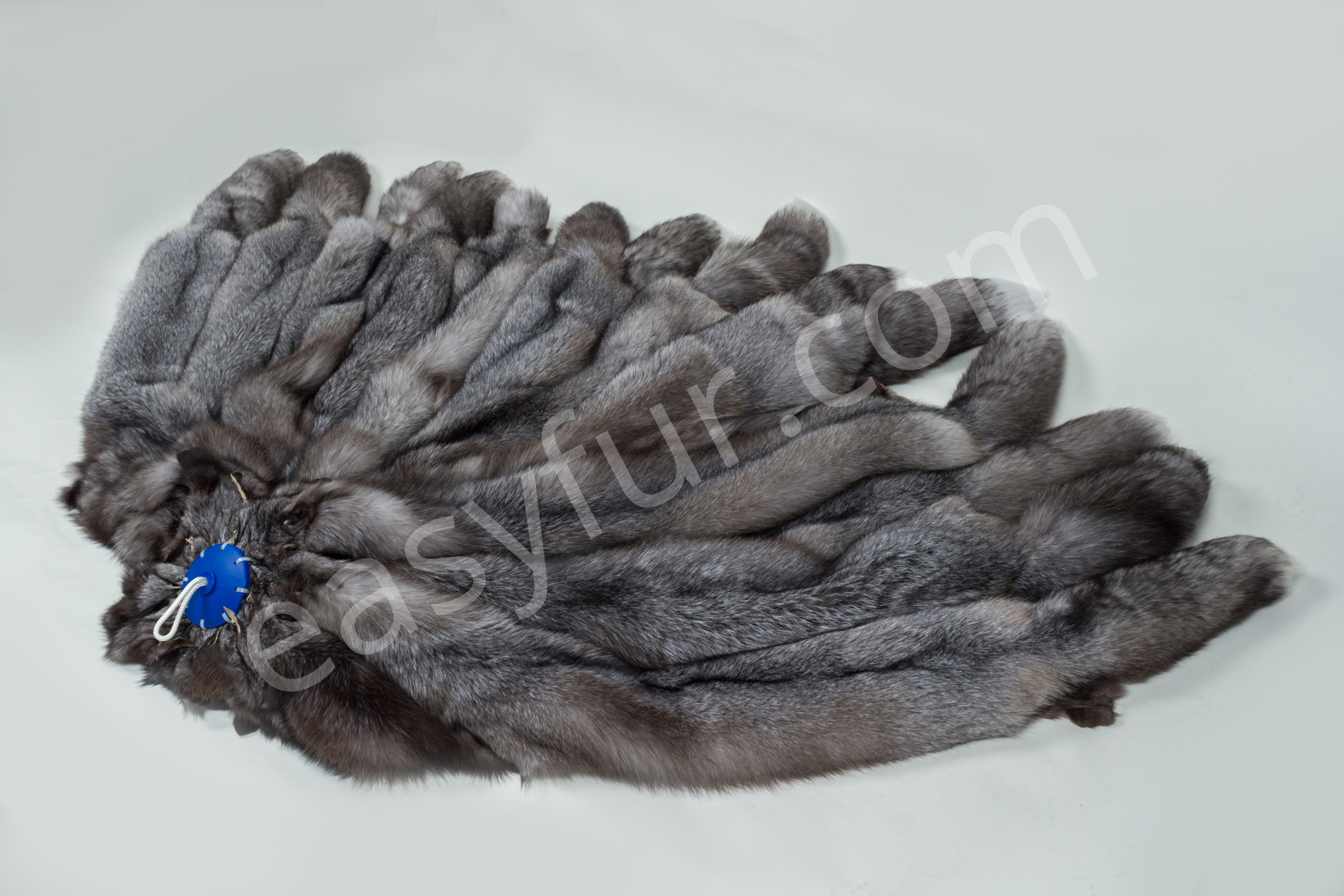 Scandinavian Blue Frost Fox Skins - Brown Type (SAGA)