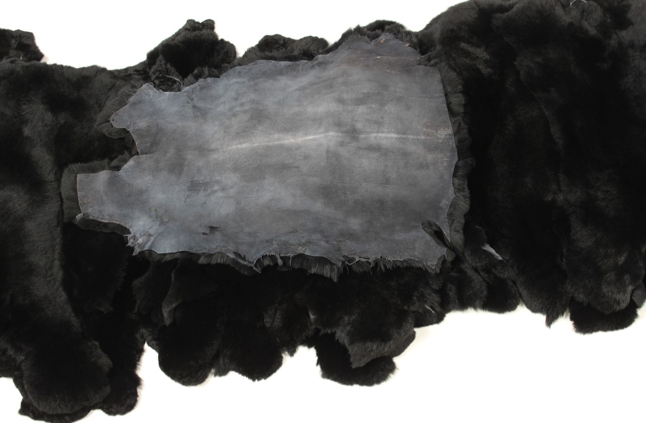 Rex Rabbit Skins Castor Rex