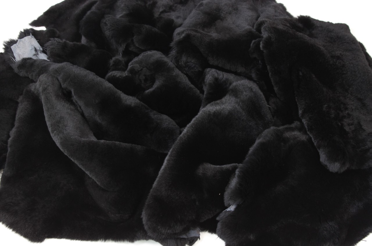 Rex Rabbit Skins Castor Rex