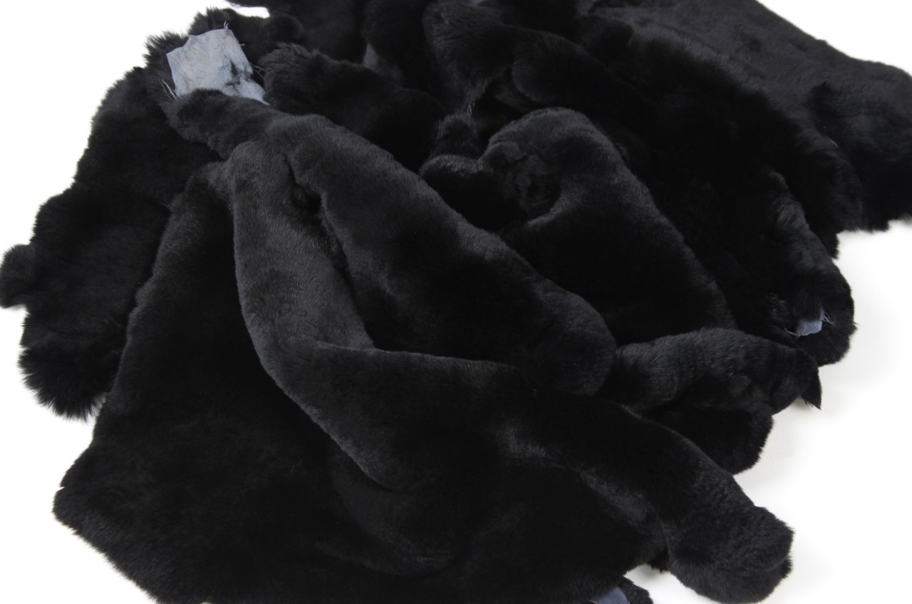 Rex Rabbit Skins Castor Rex